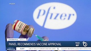 Panel recommends vaccine approval