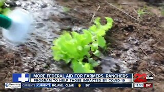 Farmers and ranchers can apply for food assistance program aid