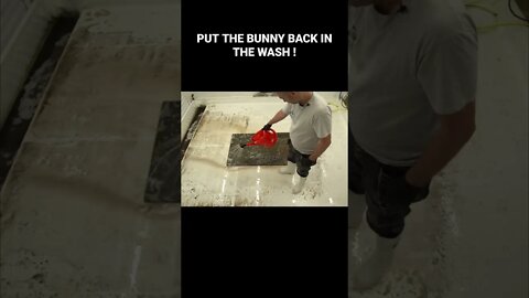 Put The Bunny Back In The Wash ! Satisfying Carpet Cleaning #shorts