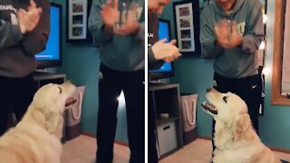 Owners make dog happy by randomly applauding for no reason
