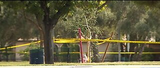 LVMPD: 1 woman dead, 1 woman in custody after stabbing in Las Vegas park