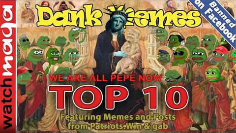 We Are All Pepe Now: TOP 10 MEMES