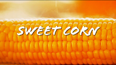 FOODIE || Farm-To-Table: Sweet Corn (2022)