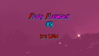 Friday Flashback #8