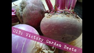 013: Victory Garden Beets