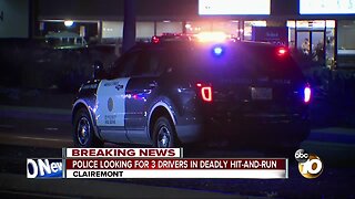 Police looking for 3 drivers in deadly hit-and-run