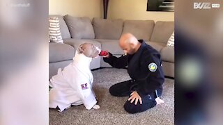 Martial arts expert trains with pit bull
