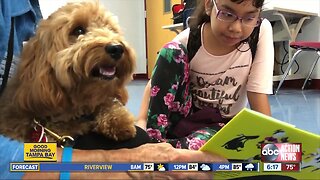 'Project PUP' pairs therapy dogs with kids to help with anxiety