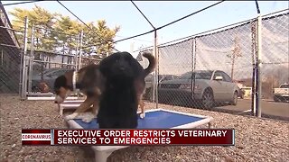 Executive order temporarily restricts all non-essential veterinary procedures