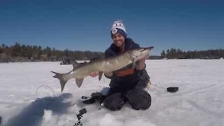 Ragazzo battaglia con un pesce gigante nel ghiaccio