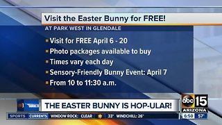 Free Easter Bunny photos!
