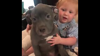 Baby Girl Can't Stop Hugging Her Puppy