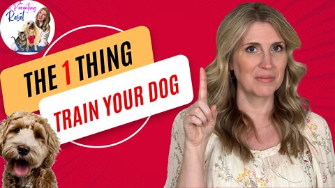 The 1 Thing That Will Make or Break Your Dog Training | The Pet Parenting Reset, episode 58