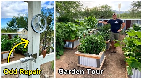 Garden Tour & An Update for My DIY Garden Gate