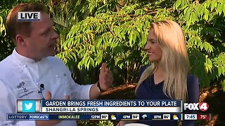 Shangri-la springs opens gardening classes, farm-to-table restaurant 7:30 a.m.