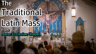 Our Lady of the Snows - Traditional Latin Mass - Aug. 5, 2021