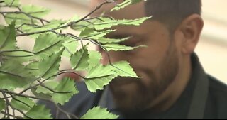 Vegas company specializes in creating artificial horticulture