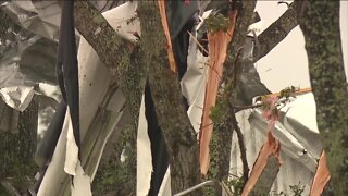 RECAP: 5 confirmed tornadoes strike Southwest Florida