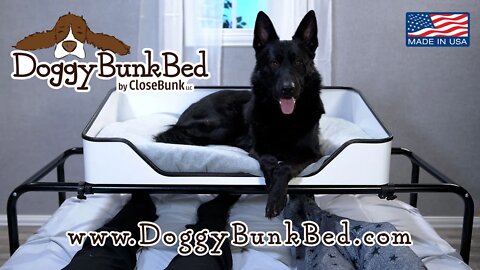 The Doggy Bunk Bed