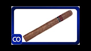 Rocky Patel Rosado Toro Cigar Review