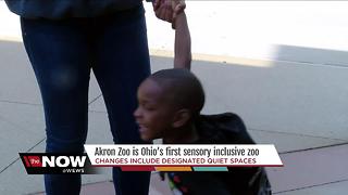 Akron Zoo is now "Sensory Inclusive"