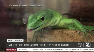 Take Time to Smile: Nebraska Humane Society collaborates with organizations to help animals recover