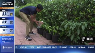 Hillsborough High School student creates new way to grow cropsShloke Patel, of Hillsborough High School, just came in second place at the International Science and Engineering Fair for creating a new organic fungicide.