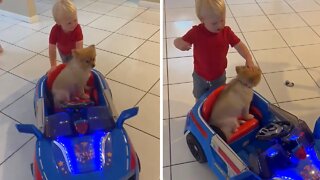 Toddler lets his pup play in his toy car