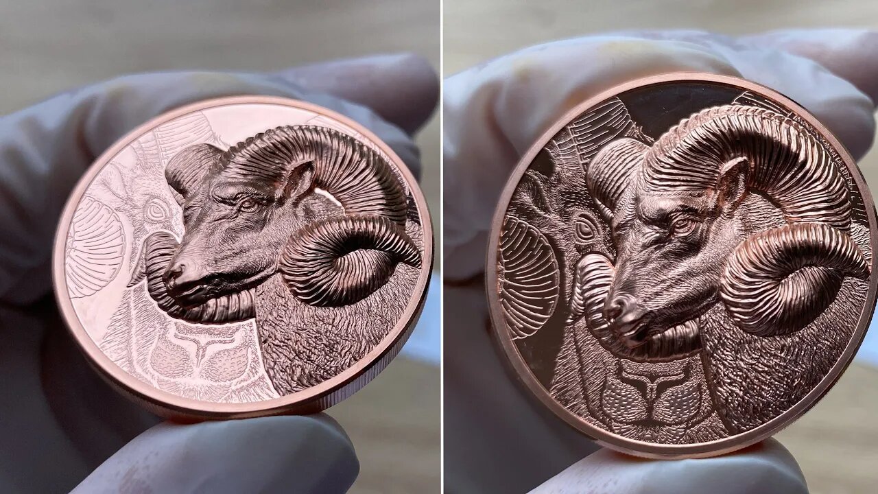 CANCER Memento Mori Zodiac Skull Horoscope Copper Coin 2015