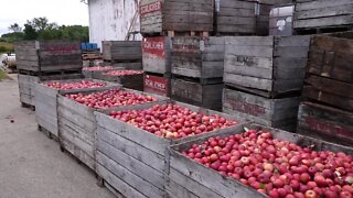 Things to Do: Check out some mid-Michigan cider mills this fall season