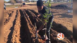 Project Roots: Growing food to help with food insecurities