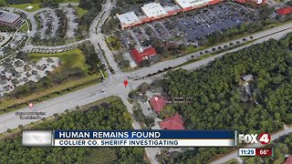 Human remains found