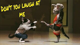 Hilarious Animals Doing The Funniest Of Things ~ Bet You Won't Laugh