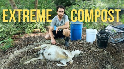 EXTREME Composting | Dead Animals into Living Soil