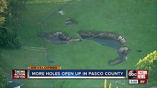 4 more holes open up in Pasco County