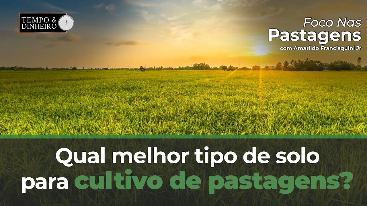 Foco nas Pastagens : Qual melhor tipo de solo para cultivo de pastagens?