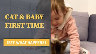 Cute Baby Meets New Baby Kitten for the FIRST Time! - SO LOVELY