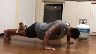 Puppy joins in with owner's exercise session