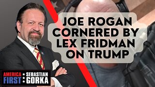 Joe Rogan cornered by Lex Fridman on Trump. Andrew Klavan with Sebastian Gorka