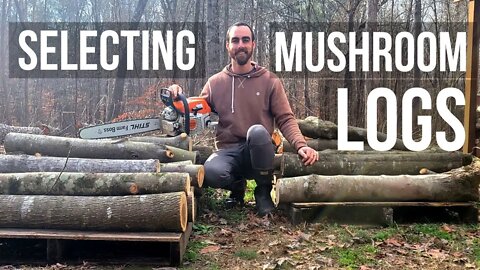 How to Grow Mushrooms | Selecting Wood & Forestry Management