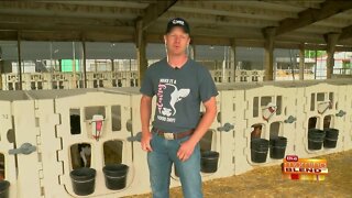 Celebrating Dairy Farmers All Month Long