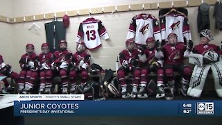 Fouhy's Small Stars: Junior Coyotes