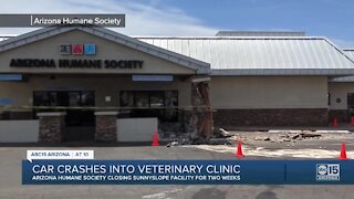 Car crashes into Humane Society clinic in Phoenix