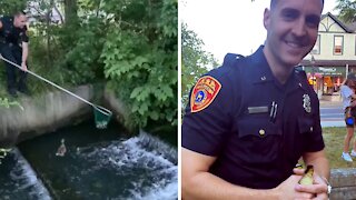 Police officer rescues duckling from a fast-moving creek