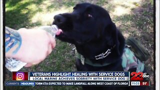Veterans highlight healing with support of service dogs