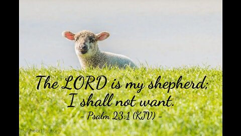 Psalm 23 (Emoted By MP) With Gail & Harpo!