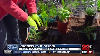 Growing your Garden, planting an herb garden