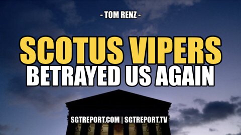 SCOTUS VIPERS BETRAYED US AGAIN -- TOM RENZ
