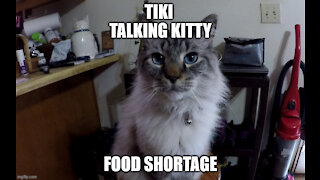 Tiki Talking Kitty Food Shortage