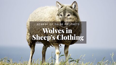 WOLVES IN SHEEP'S CLOTHING - YOU WILL KNOW THEM BY THEIR FRUITS